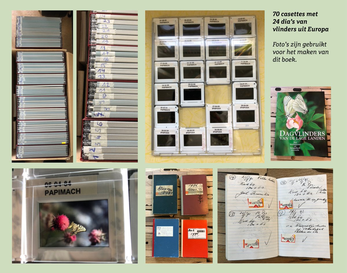 De Vlinderstichting tweet media