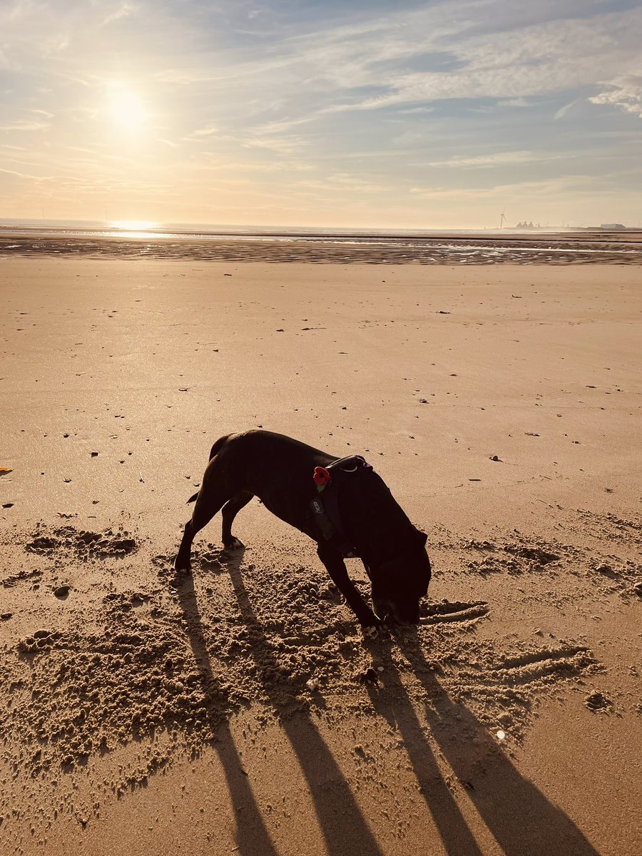 𝕋𝕙𝕖 𝕀𝕟𝕜 𝕊𝕡𝕠𝕥 tweet media