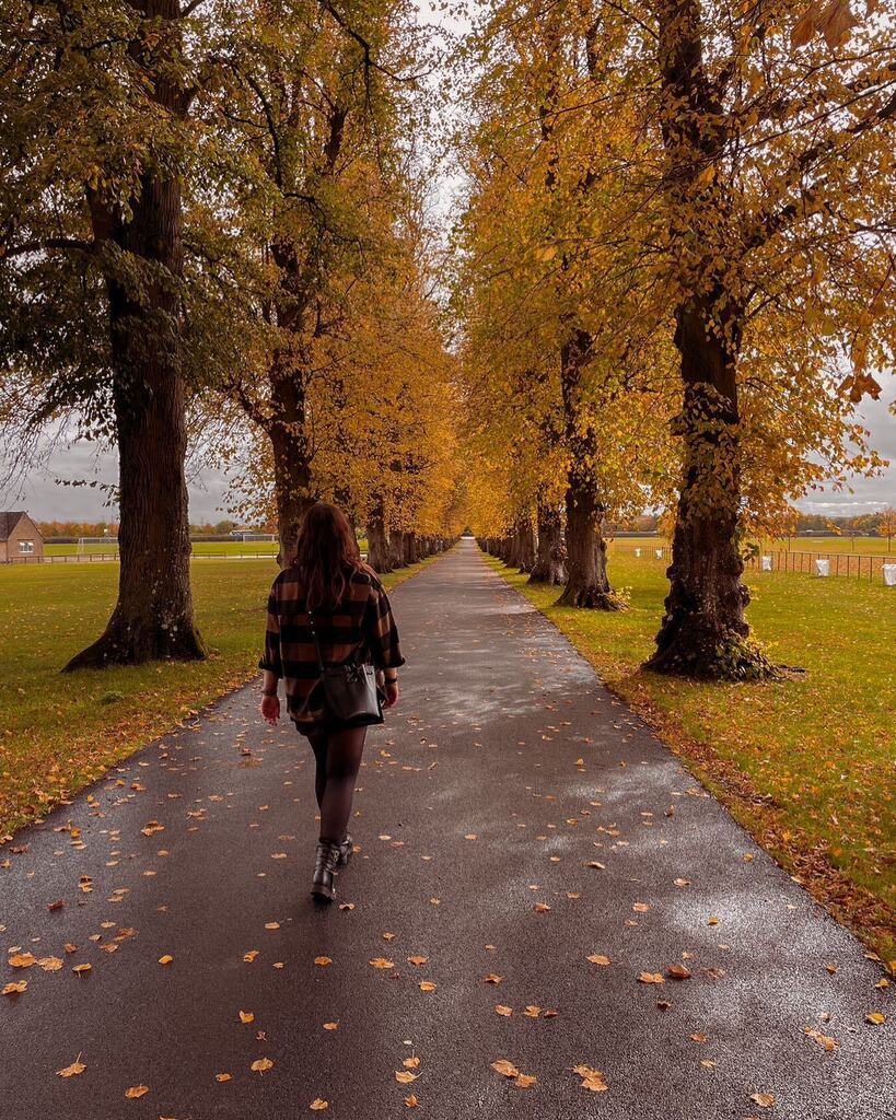 jayerockett's tweet photo. Autumn leaves falling down like pieces into place 🍂
.
.
.
.
#anatural_autumn #upandautumn #searchwandercollect #embracingtheseasons #slowmornings #forahappymoment #welivetoexplore #optoutside #momentsofmine #openuptoautumn #quietchaotics #forgeyouro… https://t.co/V7mr9sHkj6 https://t.co/2eC30daqaY