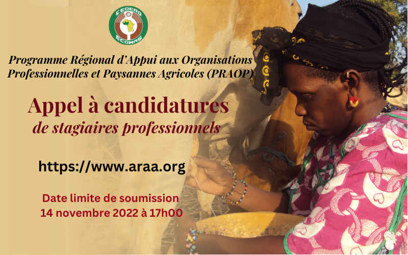 ARAA_CEDEAO's tweet photo. 🆕 📢 Appel à candidatures pour la sélection de stagiaires professionnels dans le cadre du du Programme Régional d’Appui aux organisations Professionnelles et Paysannes Agricoles (PRAOP)
Lire plus 👉https://t.co/10dXfoHiGR https://t.co/2FLBjgQpUm
