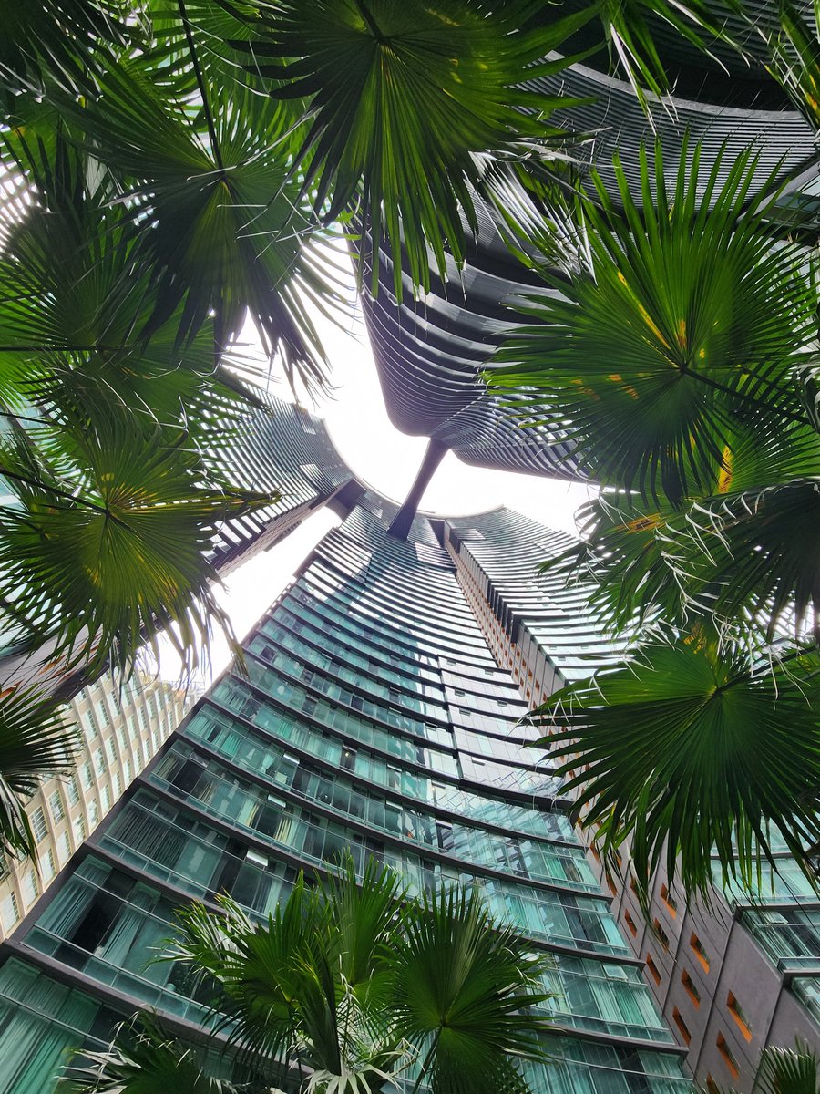 AlexDGN (@AlexShapiroETH) / Posts / X