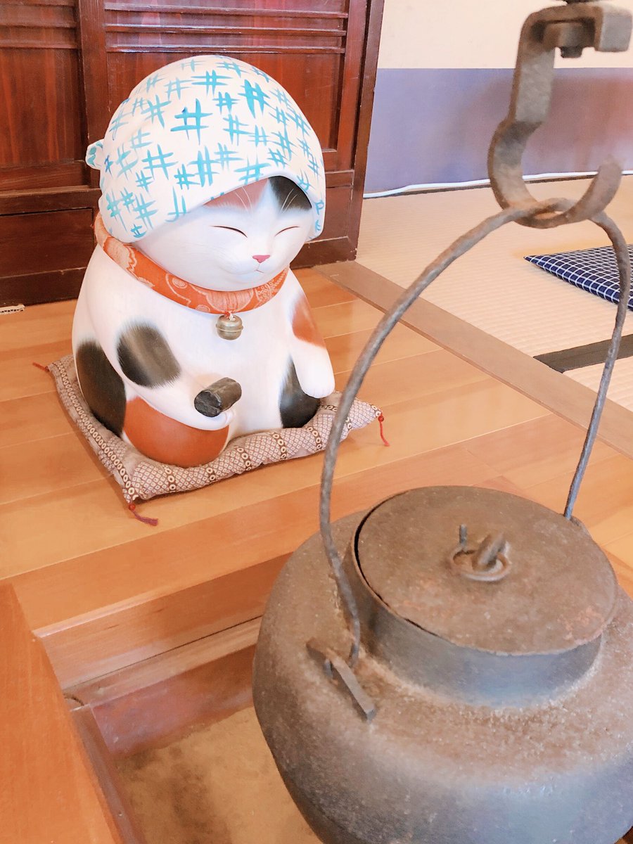 「へそ天ねこちゃんきゃわいすぎて姉と場所取り争いしながら夢中で撮っていたら近くにい」|四月はじめのイラスト