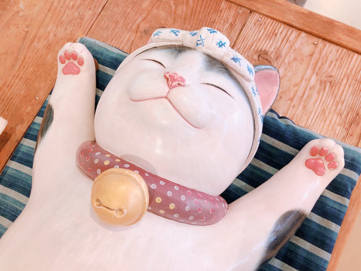 「へそ天ねこちゃんきゃわいすぎて姉と場所取り争いしながら夢中で撮っていたら近くにい」|四月はじめのイラスト