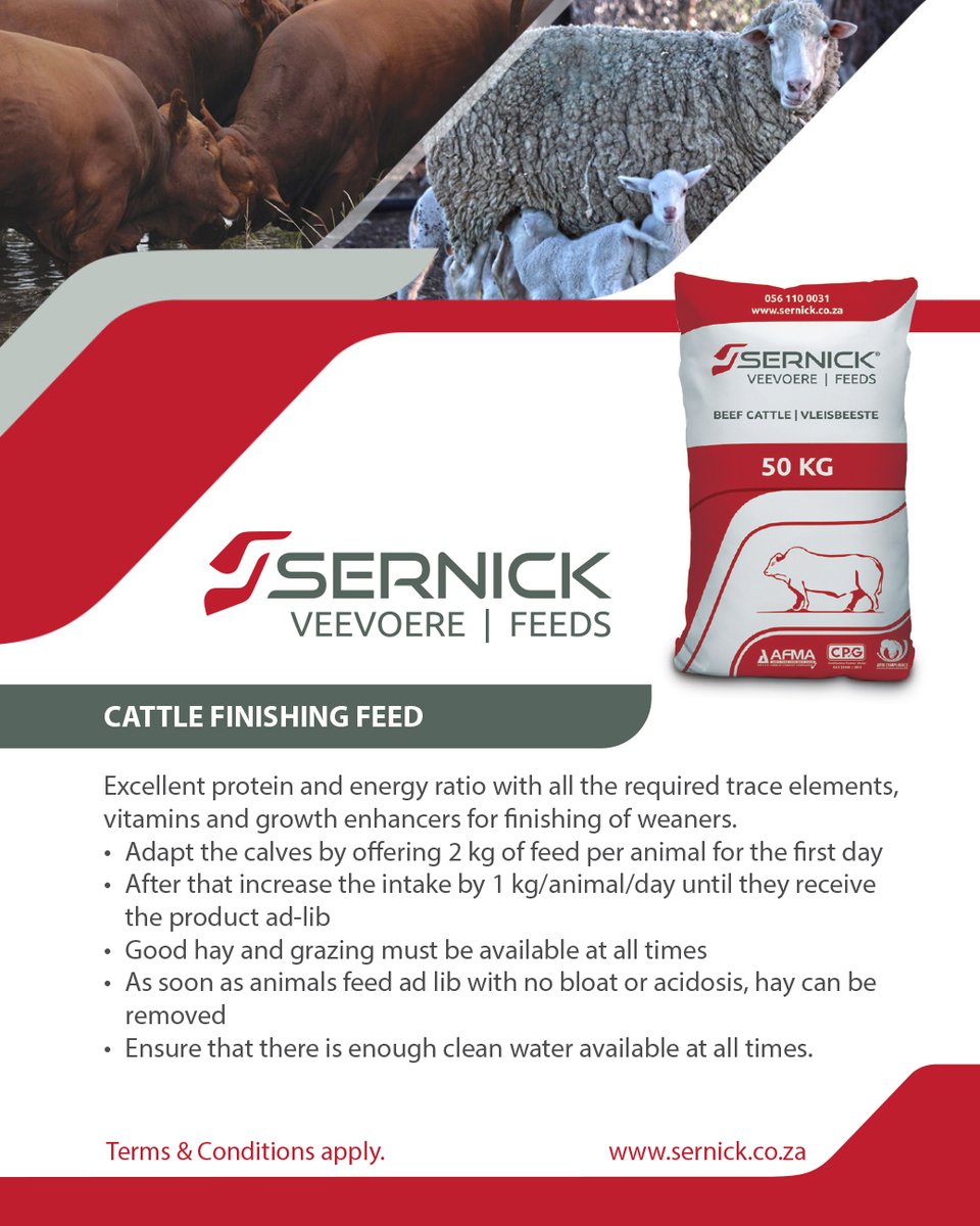 Are you considering finishing your own weaners? Sernick's Complete Cattle Finishing Feed without hay has an excellent protein &amp; energy ratio with all the required trace elements, vitamins and growth enhancers.
Contact a technical advisor: bit.ly/3SOc9Xu