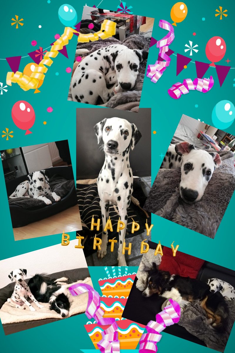 Guckt mal, was Frauchen heute für mich gebastelt hat 😍