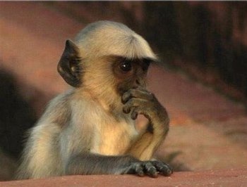 #whatsappdown so how is GB whatsapp down too, is someone out there not being honest with us <a href="/WhatsApp/">WhatsApp</a>