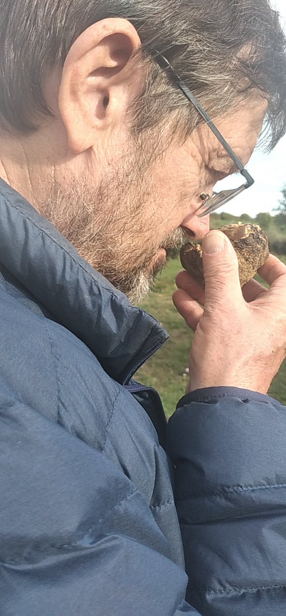 IntactProgetto's tweet image. As part of his secondment at @INRAE_France, prof. Khabar (@um5rabat) visited the Périgord region meeting members of the &quot;Association for the Promotion of Truffles and Trufficulture&quot; (APTT) which is under the aegis of the &quot;French Federation of Trufficultures&quot; (FFT) #INTACTproject.