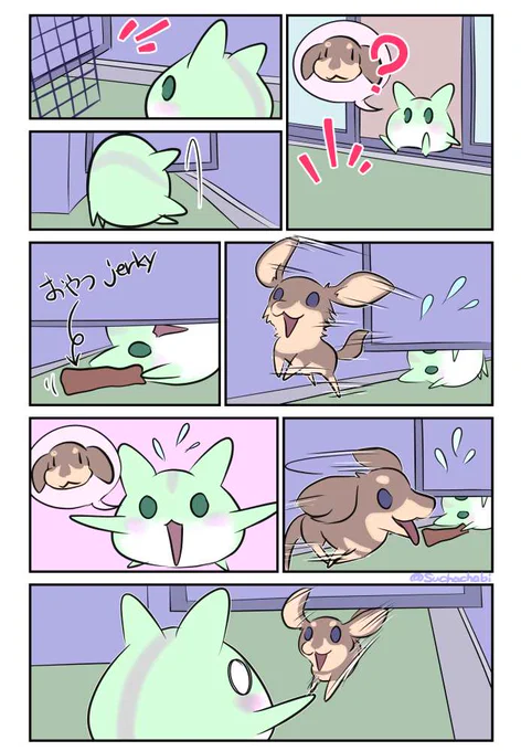 912日目 隣の家のベランダに入っちゃった 