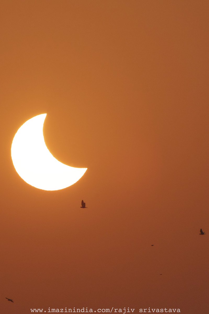 rajiv_imazinind's tweet photo. Shots of partial solar eclipse, 25th Oct 2022.
Copyright ©️ 2002 All rights reserved.
#solareclipse #solareclipseindia #Noida #UttarPradesh #india #Solar #photography #Photos #ThePhotoHour #imazinindia #rajivsrivastava https://t.co/E27x1vI1G1
