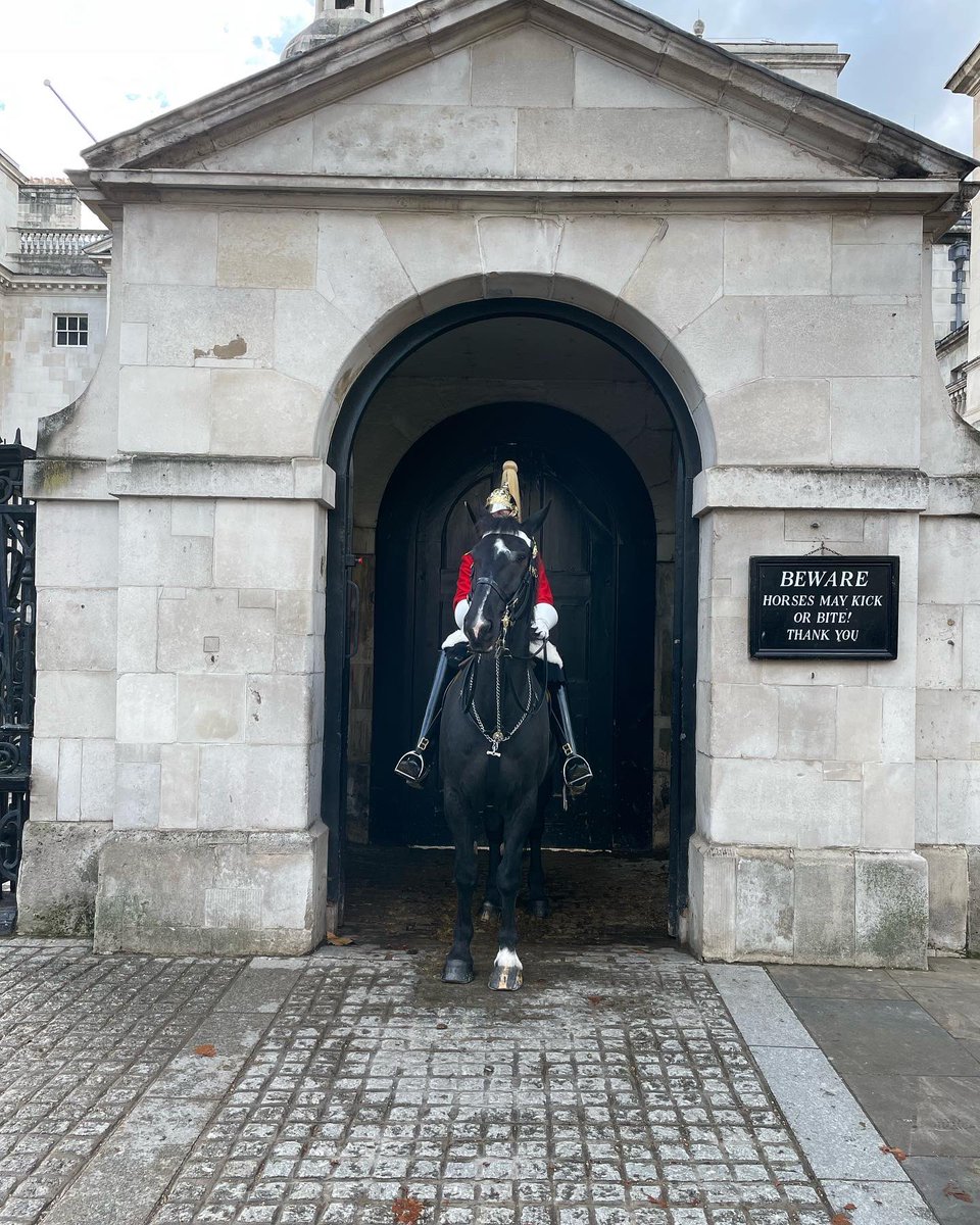 ND Brand Content tweet media