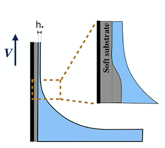 PRFluids Letter: Enhanced dip coating on a soft substrate Vincent Bertin, Jacco H. Snoeijer, Elie Raphaël, and Thomas Salez go.aps.org/3SxkFcT #DipCoating A soft layer coated on a plate can enhance liquid-film thickness in dip coating. A scaling relation is found.