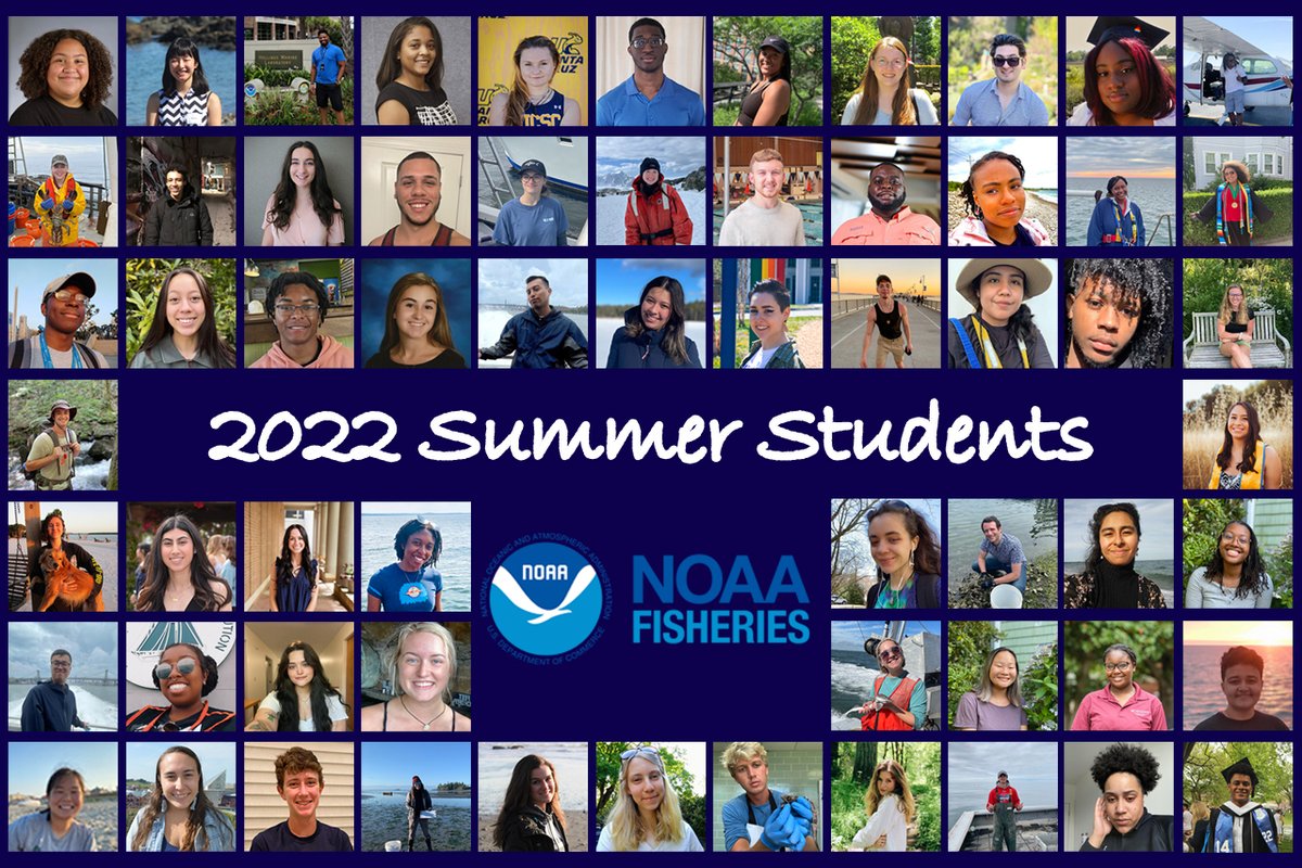 NOAAFish_NEFSC's tweet photo. Undergrads: Want a #paid #internship w/ us? Apps for @NOAAEducation’s #EPPMSIInternship & #HollingsInternship Programs are now open, due Jan 31. Info: https://t.co/XSgXpRIBke & https://t.co/8iNHK6IvHj. Our previous students & their projects: https://t.co/rNQiYVe9F0! #NEFSCScience https://t.co/ukDA05Gc4b