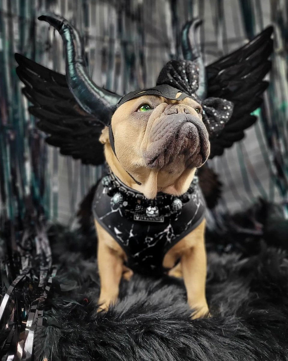 A seriously magnificent, Maleficent. 😈