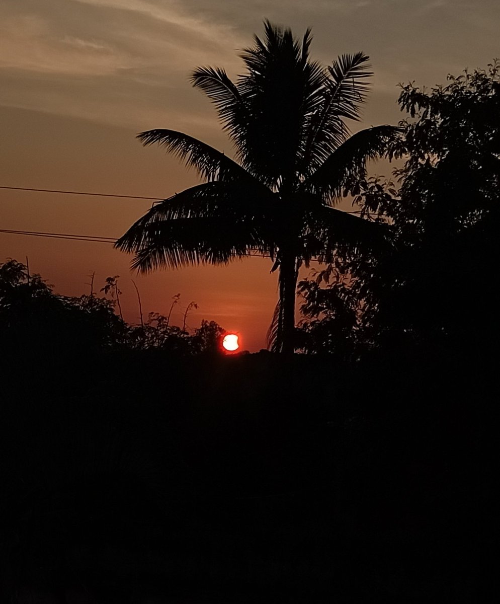 1akashh's tweet photo. Last Solar eclipse of the year 2022.
Safely captured 🌒 https://t.co/KRvp3KiZbN