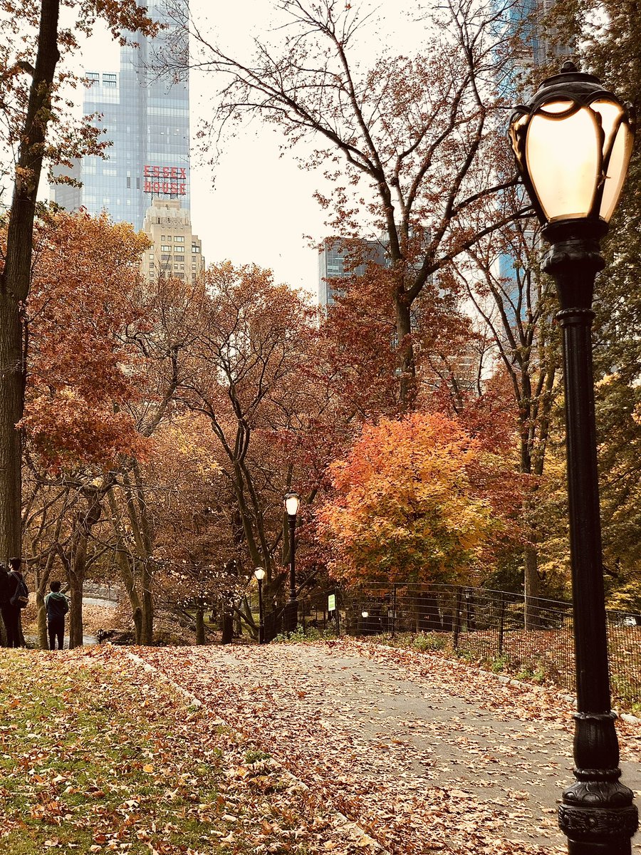 Nerito20's tweet photo. #CentralPark #NYFall 🍂🍁 https://t.co/DSNviBZi69