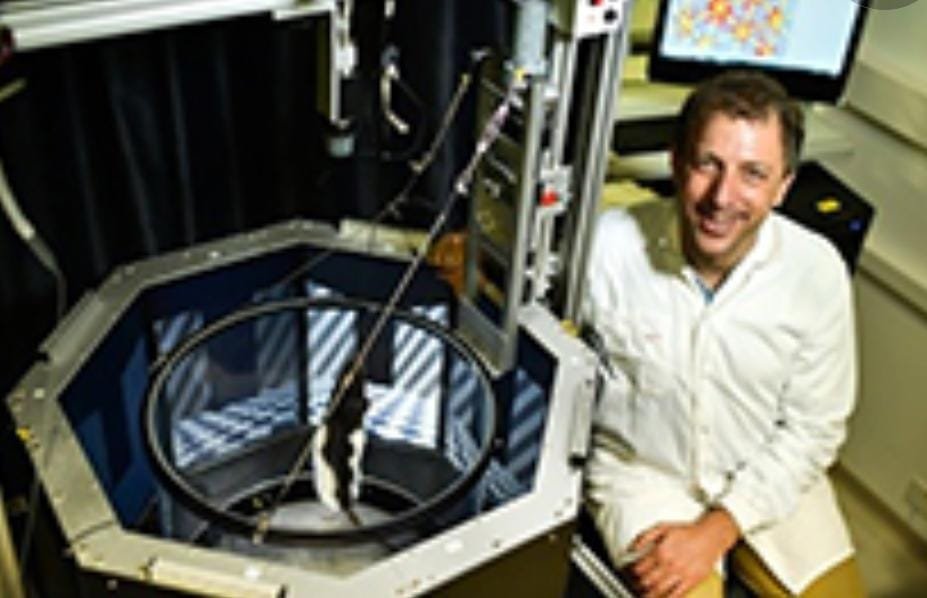 Rappaport_Inst's tweet photo. @ERC_Research Synergy Grants 2022 Results are in!

@Rappaport_Inst is proud to congratulate researchers @doriderdikman of @TechnionLive and @omerdavid of @Hujimed, the recipients #ERCSyG funding for their research.
Looking forward to your research results. 
Congratulations! https://t.co/CmVuw0On37