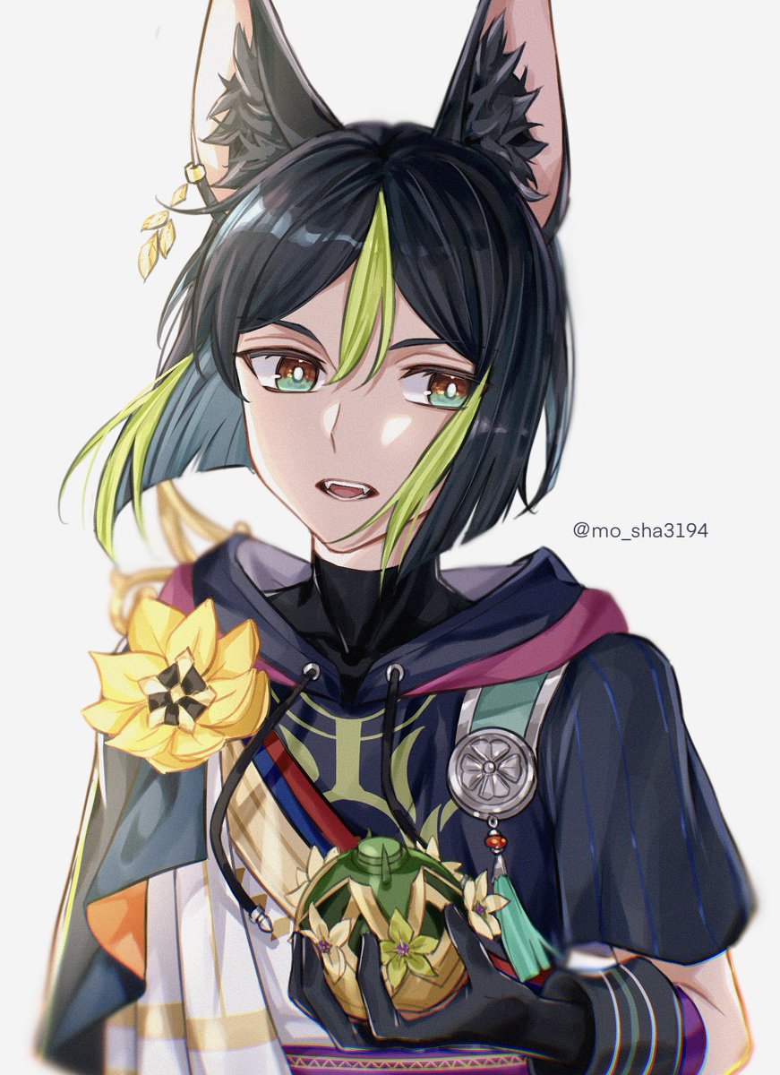 medal 1boy male focus animal ears black hair solo green hair  illustration images