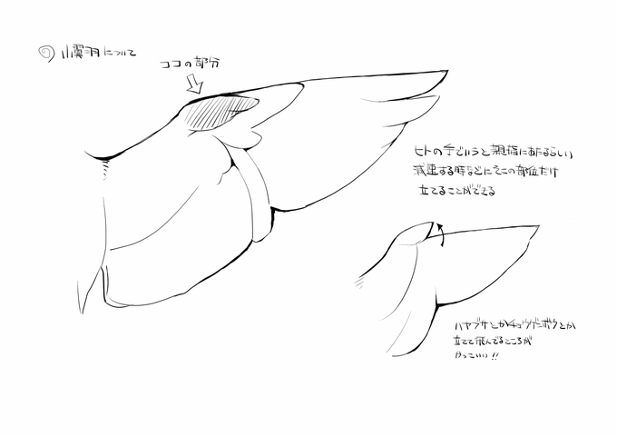 小翼羽を立ててるのが見える 