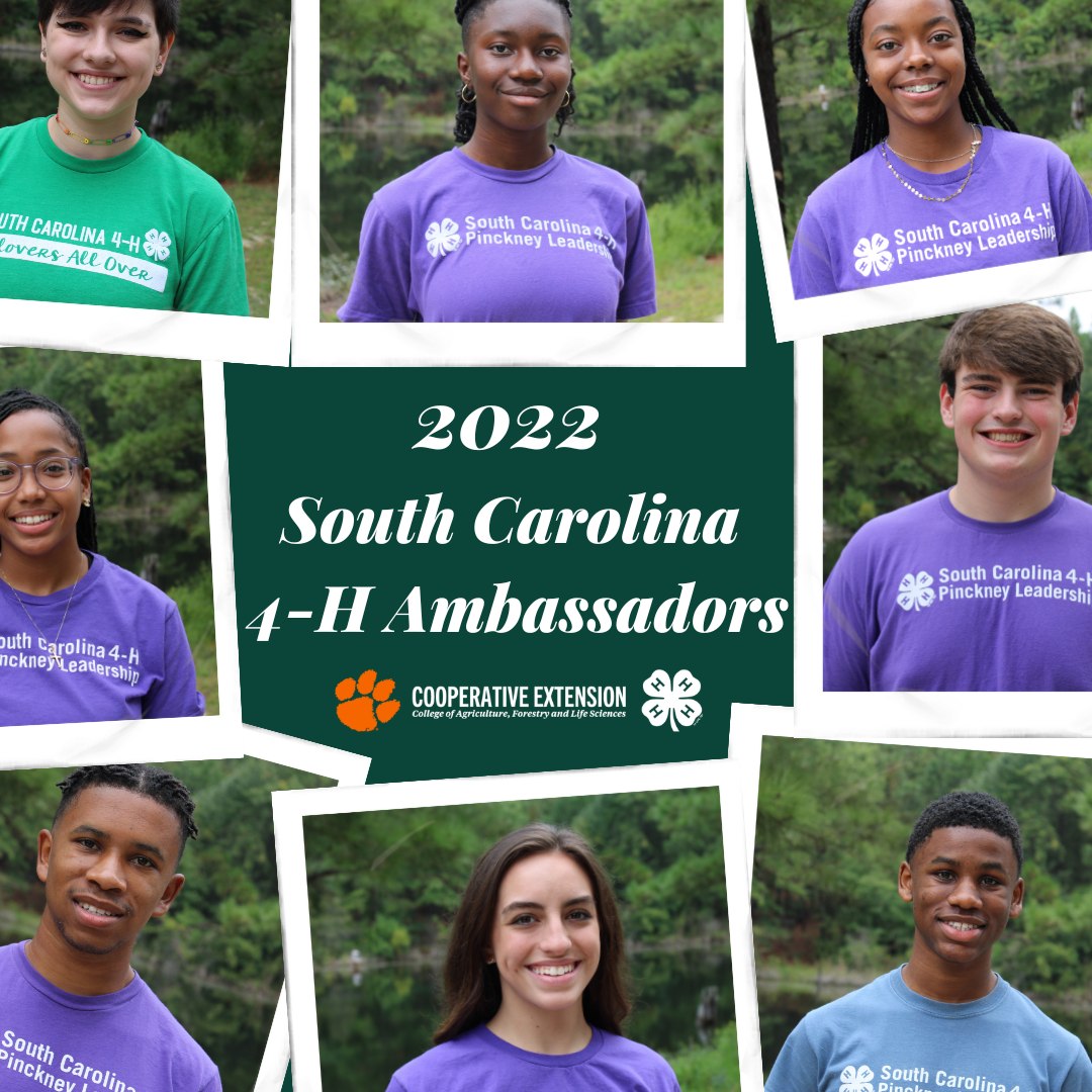sc4hplp's tweet photo. We would like to congratulate all of our #4HPinckneyLeaders who recently completed training to be 2022-23 South Carolina 4-H, Ambassadors! Congratulations to all!🎉 #ThisIs4H #SC4H #4HPinckneyLeadership https://t.co/9wsnG5tUeW