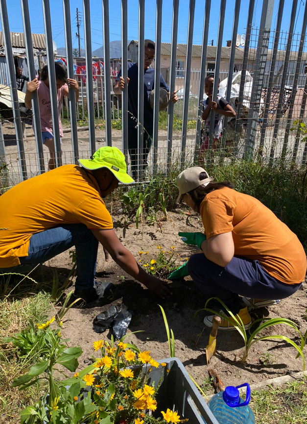 REPL_Group's tweet photo. A big thank you to the members of our Cape Town team that volunteered to plant flowers and trees! Angeline Neutt, Wandile Daza, Michiel Bester and Ankia Hoffman spent an entire day helping the local community with vegetation works. Great work team! 💗🌻🌱 https://t.co/EsaqZW7Edi