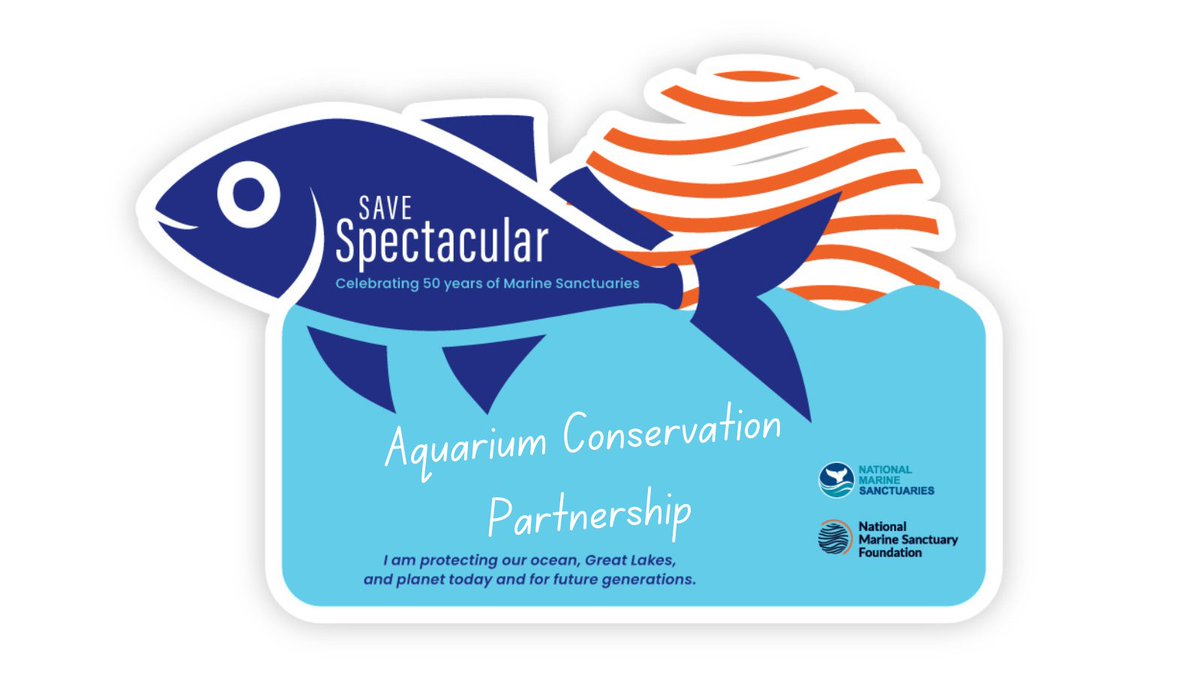 ACP is proud to partner with @marinesanctuary and @sanctuaries for a #SaveSpectacular celebration! Like aquariums, these underwater national parks inspire visitors to protect our ocean, coast, and Great Lakes. Join us in taking the #OceanProtector pledge! 
marinesanctuary.org/take-the-ocean…