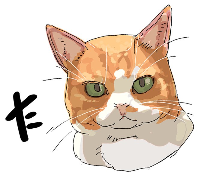 「猫目」のTwitter画像/イラスト(新着｜RT&Fav:50)｜17ページ目