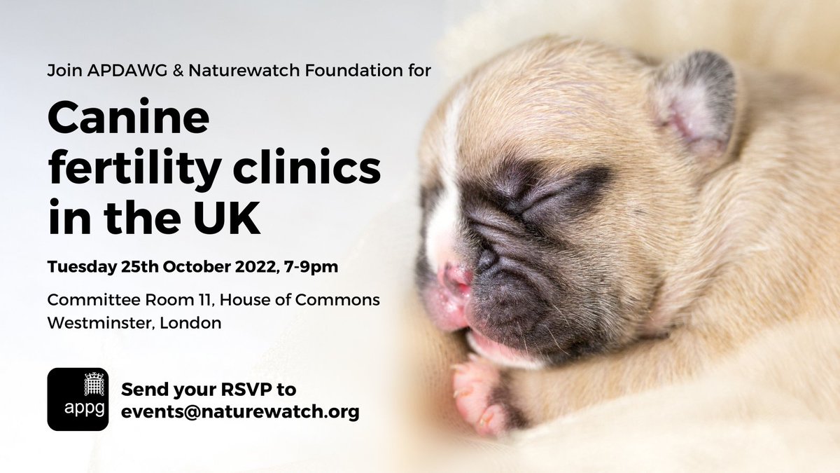 @Gilly_SSPCA is presenting tonight at the Canine Fertility Clinics in UK event led by @Naturewatch_org and @marcthevet We’re looking forward to discussing this important topic with other agencies and how best to tackle the issues arising from these clinics.#CanineFertilityClinics