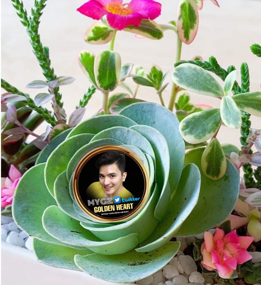 Darating ang panahong kailangan na nating palayain ang taong mahalaga sa atin. Sabi nga nila, kapag mahal mo ang isang tao, dapat handa kang magparaya.

PATINGTING 1ST ANNIVERSARY 

#MygzWithGoldenHeart