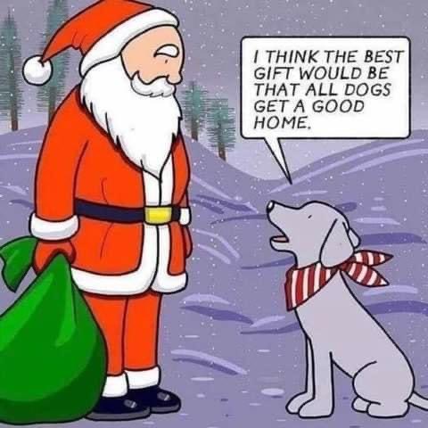 DoggieLatchkey's tweet image. Planning to go somewhere on Christmas but got no one to look after your pets? DM us. We would be very happy to help 😊

PCTTO

#doggielatchkey #bestpetcare #michiganders