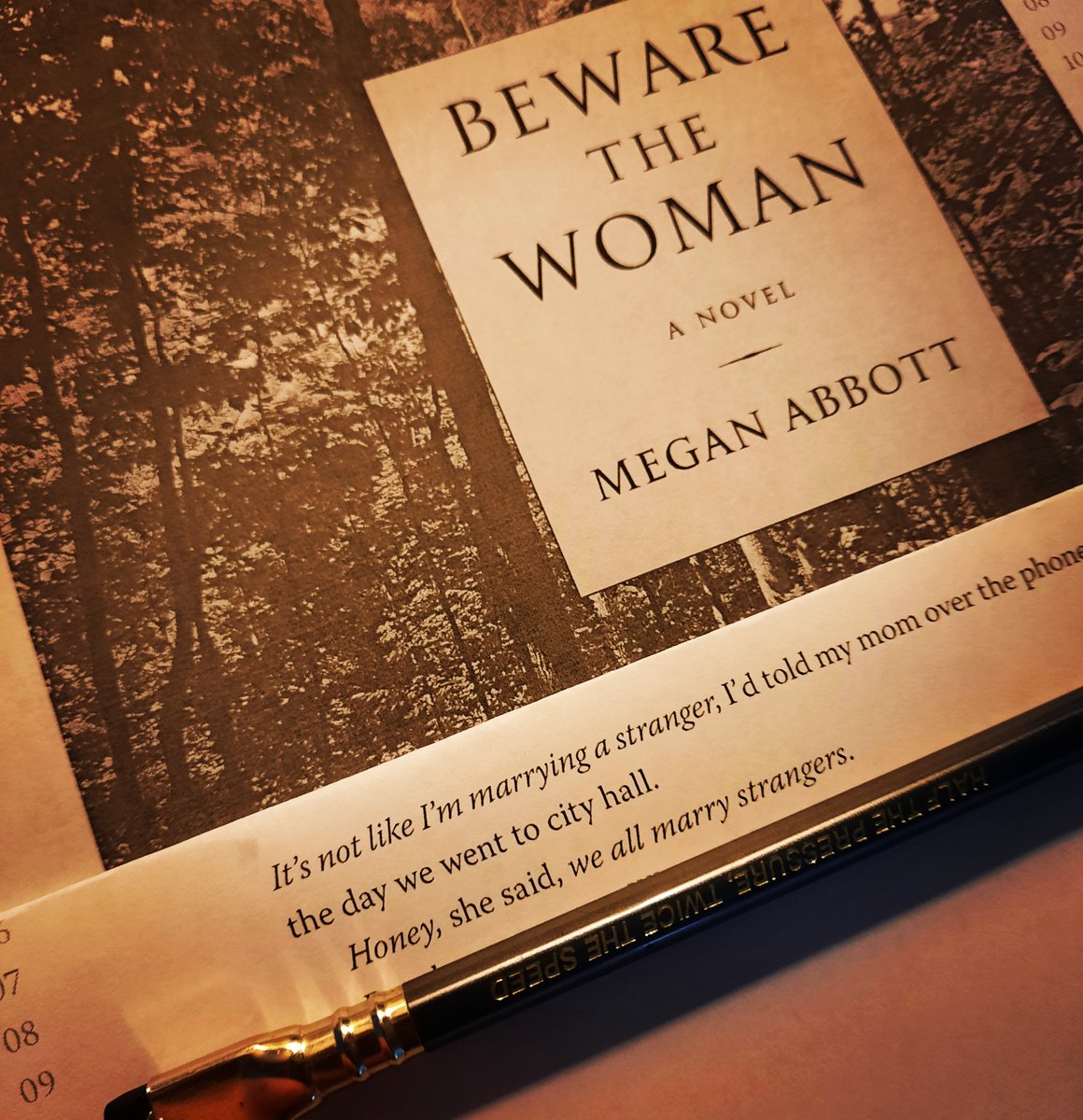 Megan Abbott tweet media