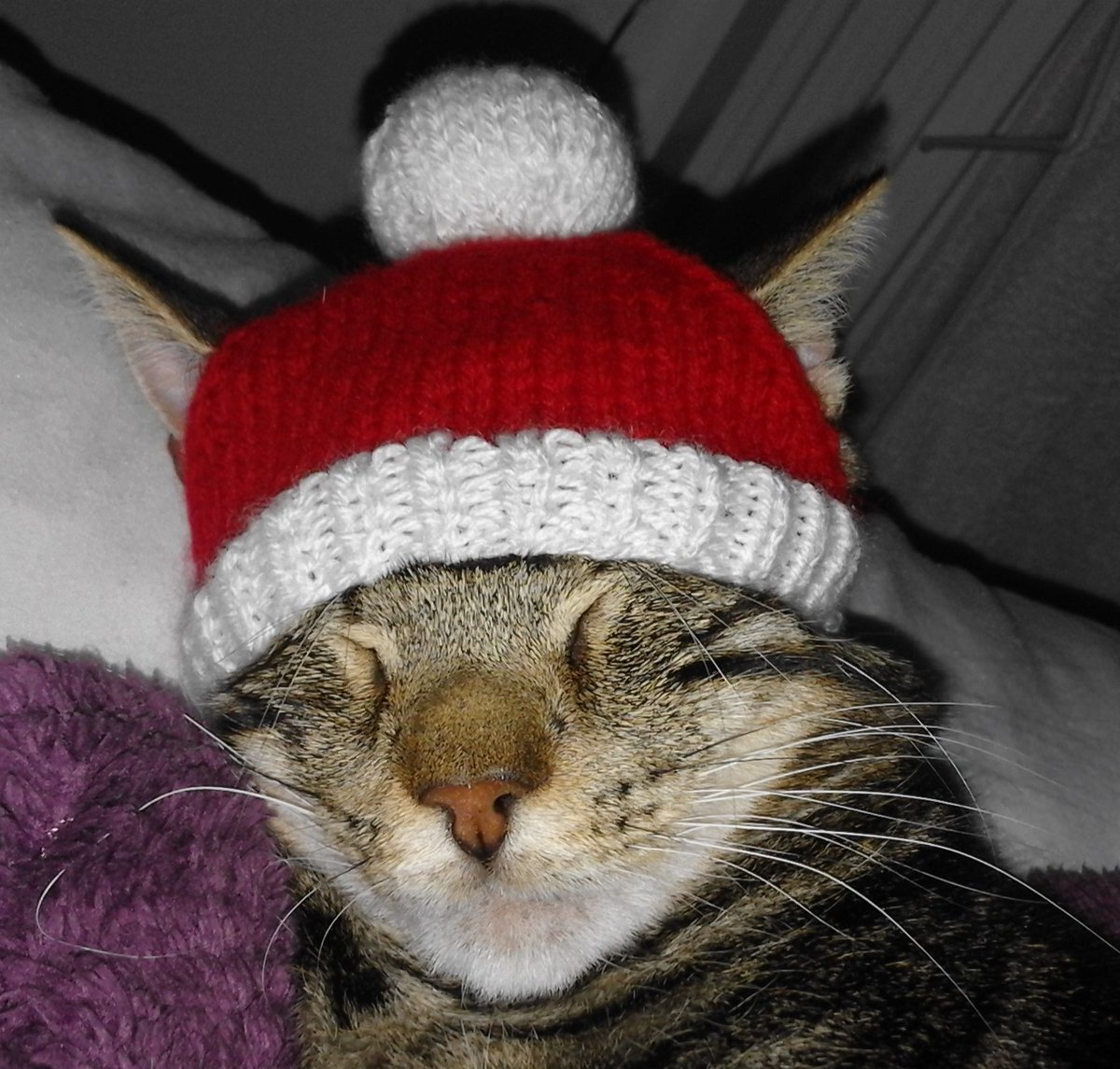 cornishknitting's tweet photo. I have lots of Christmas patterns for sale in my Etsy shop, including Christmas stockings, Christmas golf club covers, and Christmas cards.  

You can buy the digital knitting patterns here:

https://t.co/ErkOYE2rEo
#knitting #christmas #festive #festiveknits https://t.co/9cM6AS7NyK