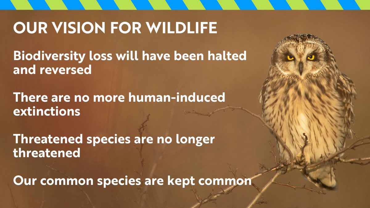 Great to hear @RishiSunak mention “protecting our environment” in his first speech as Prime Minister. 💚🙏 Yesterday we published “A World Richer in Nature” - let’s have a look at what protecting our environment means for wildlife in England. 🧵