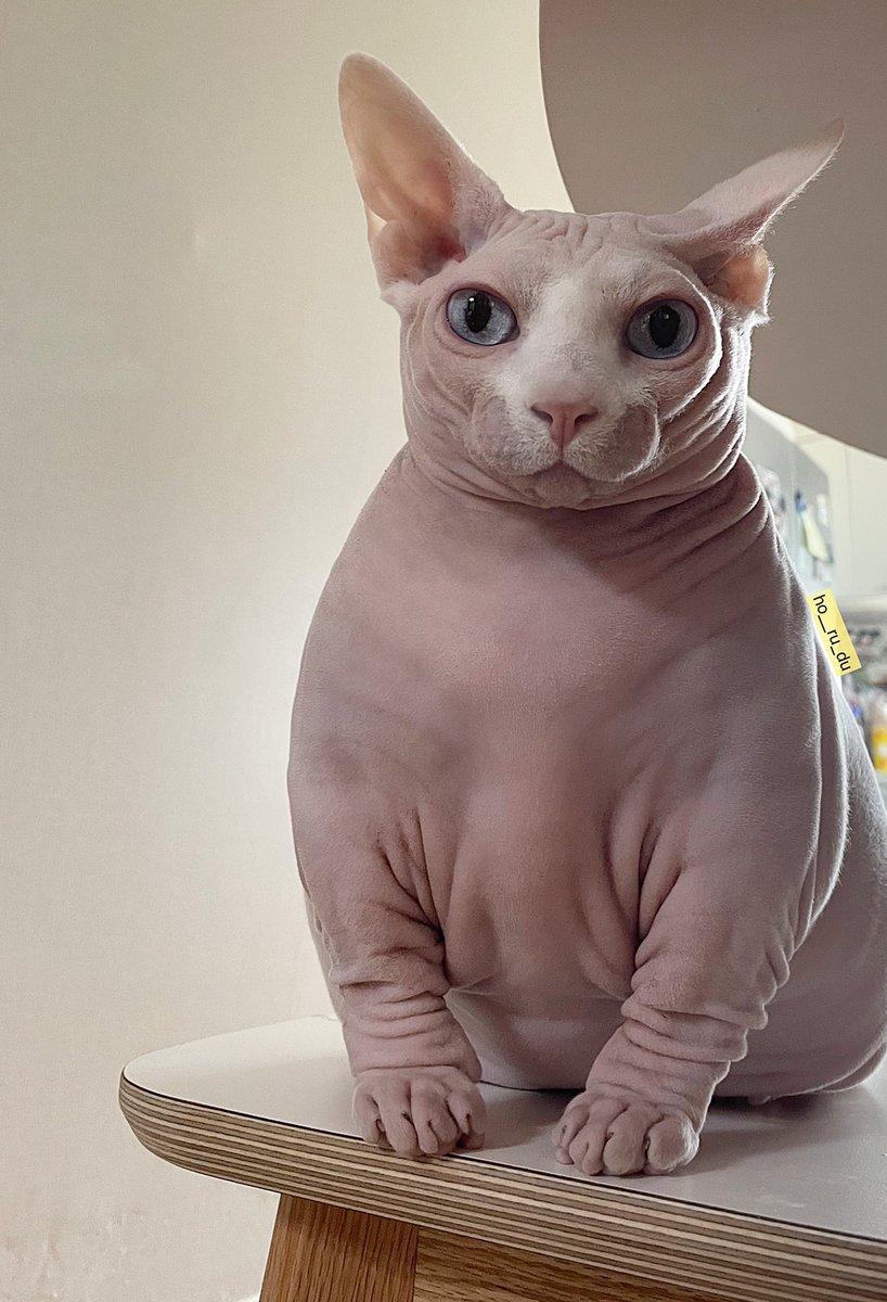 good_faces_bot's tweet image. 