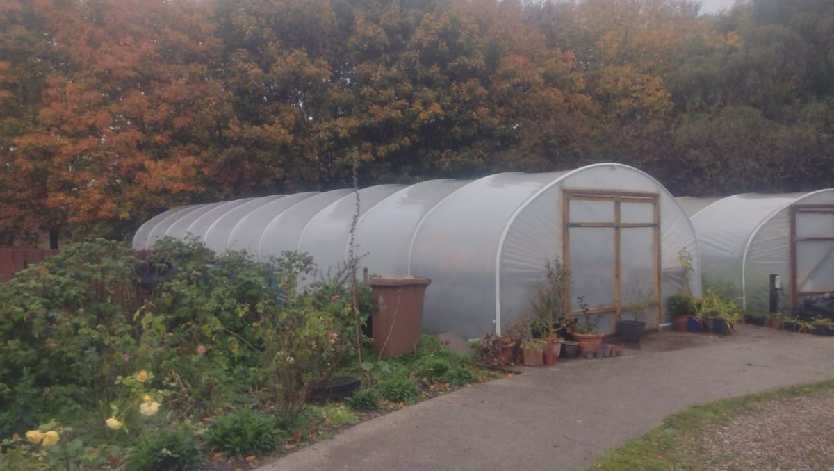 RecoveryColleg3's tweet photo. Our facilitator Neil took these lovely pictures from the Goscote Gardening Project. 🍂
https://t.co/M5dSJOQrty
☎️0121 543 4061
📧info@therecoverycollege.co.uk
#therecoverycollege #walsall #gardening https://t.co/3PMKoVZIDb