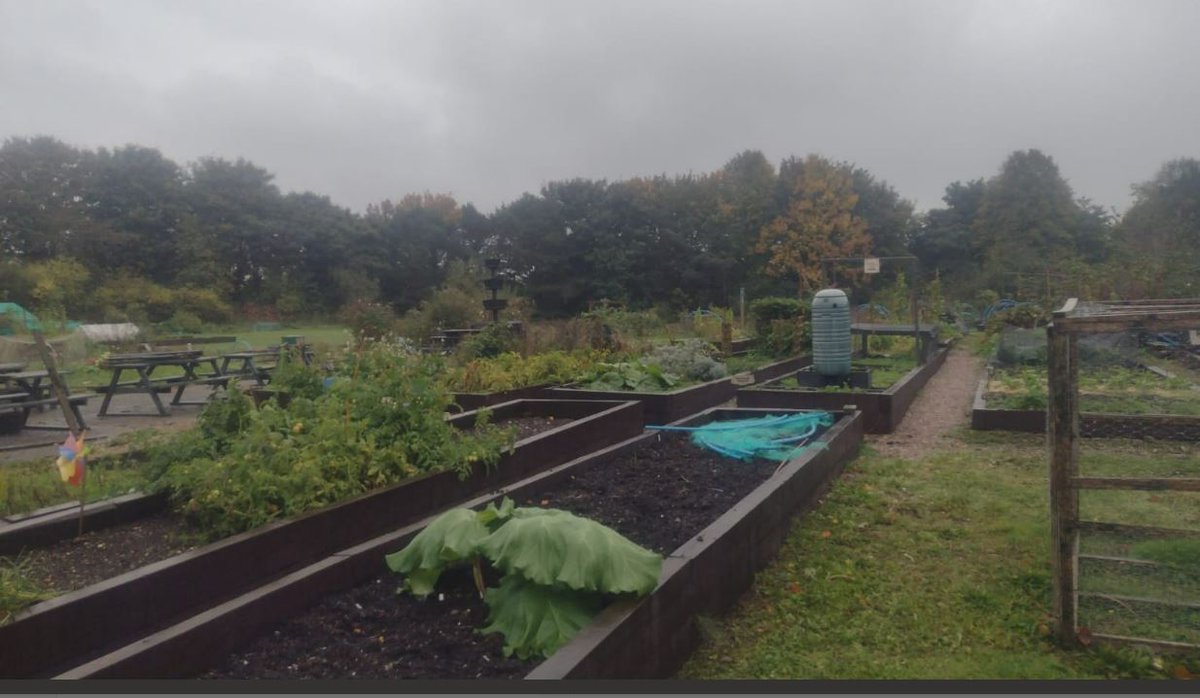 RecoveryColleg3's tweet photo. Our facilitator Neil took these lovely pictures from the Goscote Gardening Project. 🍂
https://t.co/M5dSJOQrty
☎️0121 543 4061
📧info@therecoverycollege.co.uk
#therecoverycollege #walsall #gardening https://t.co/3PMKoVZIDb