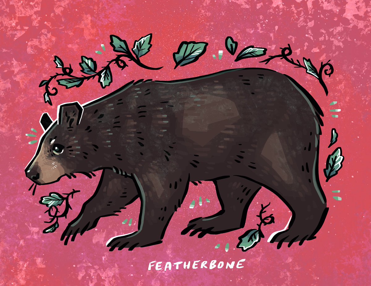 Featherboneart's tweet photo. Black bear https://t.co/EyM0Mlad6w
