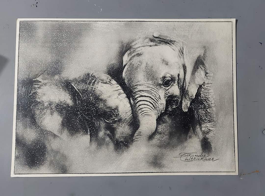 SikanderArtist's tweet photo. @sikanderchitrakaa
.
.
.
.
.
.
.
.
.
@staedtler 
#michelangelofinearttrainingcentre #fineartinhisar #fineart #elephant #sketching #sketchingdaily #sketch #sketchbook #artwork #hyperrealism #art #artistsoninstagram #sketching #painting #instaart  #fineartinhisar #artoftheday https://t.co/7u4WiL0Wmg