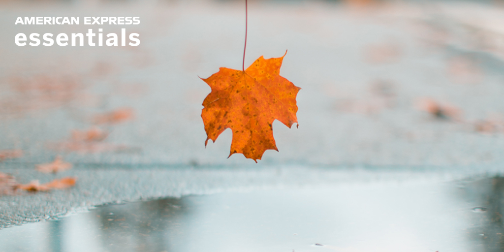 American Express Essentials tweet media