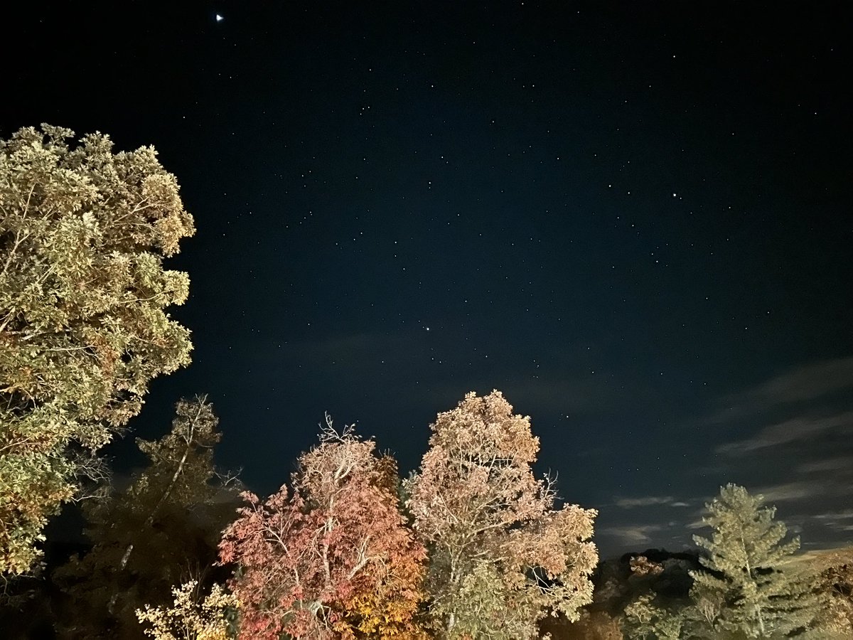 Shawn A. Krueger tweet media