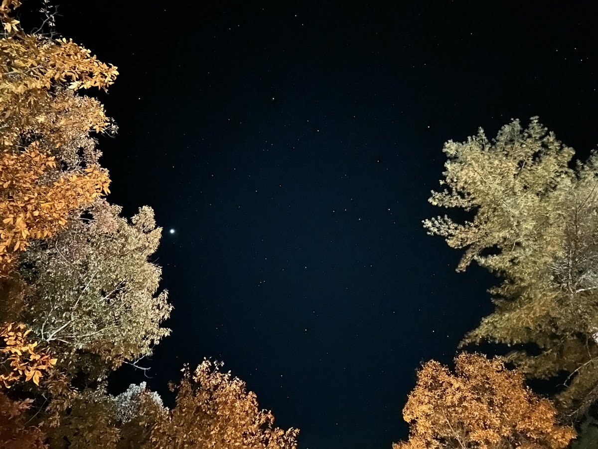 Shawn A. Krueger tweet media