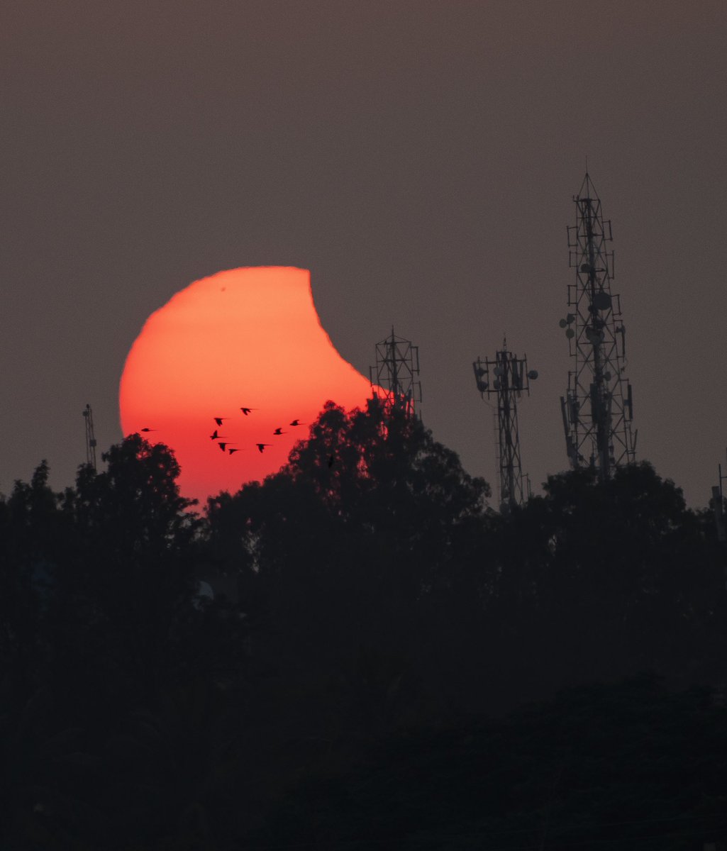 trollpwnde's tweet photo. Partial Solar Eclipse 2022 from Bangalore😊 #Bangalore #Nikon #PartialSolarEclipse ( You can read more about the images on my Instagram - ash.pande ) https://t.co/yslzr5eODz