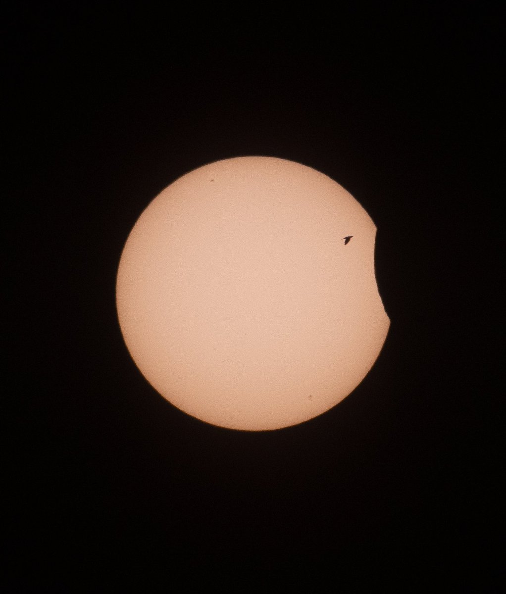 trollpwnde's tweet photo. Partial Solar Eclipse 2022 from Bangalore😊 #Bangalore #Nikon #PartialSolarEclipse ( You can read more about the images on my Instagram - ash.pande ) https://t.co/yslzr5eODz
