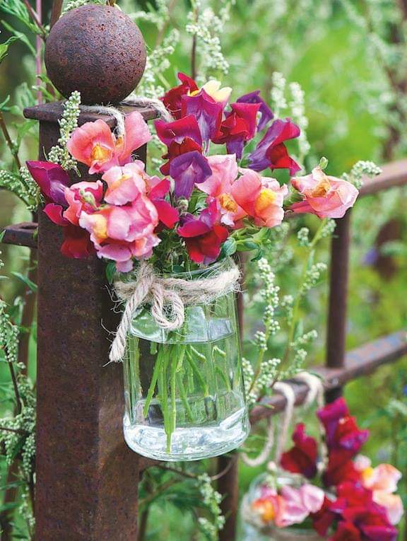 PMallagray's tweet image. #FelizMartes #MagicSonia 
#MagicRose hoy 😉