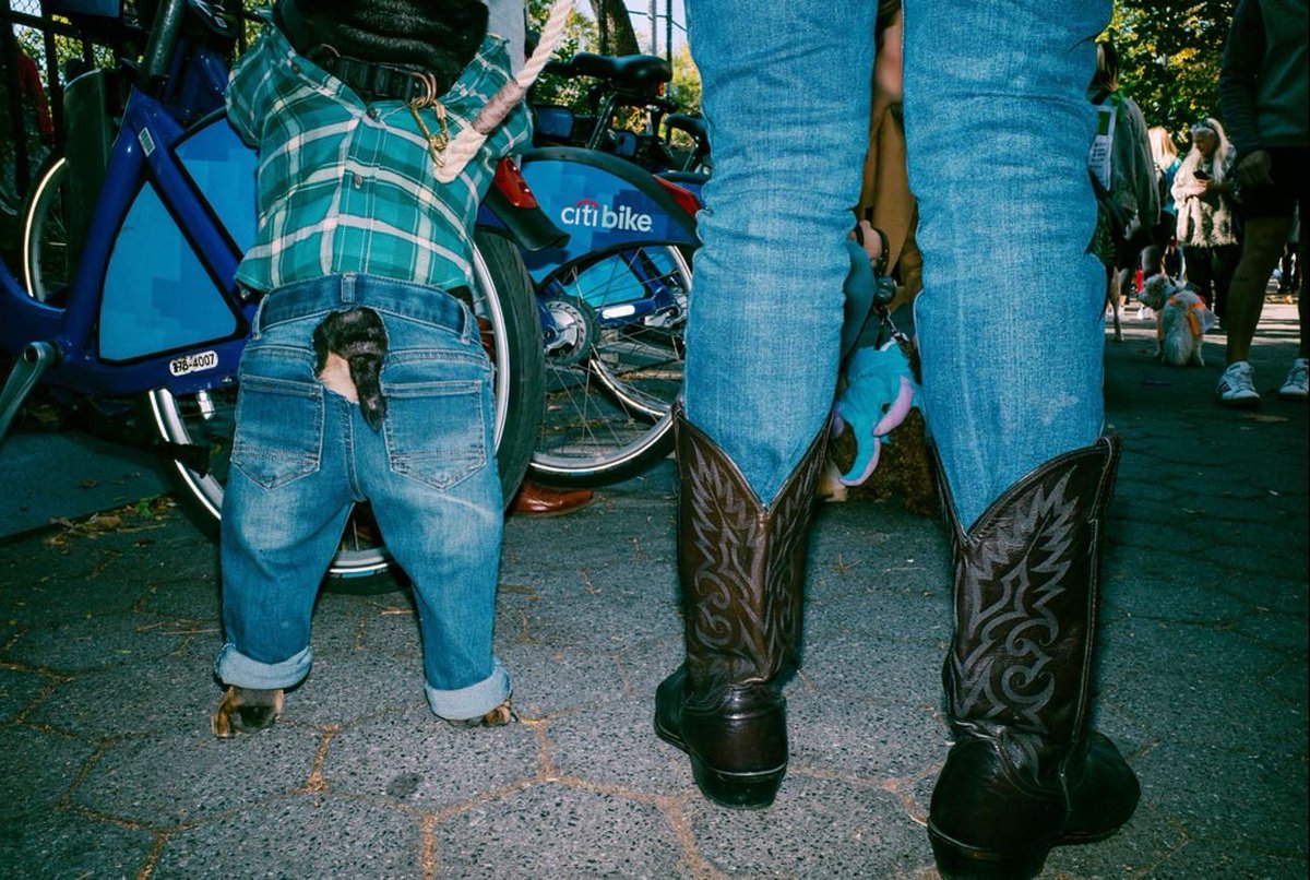 sfryxl's tweet photo. On Saturday, I joined @PENTAXIAN and @NYCSPC for a photo walk at the annual Halloween Dog Parade. Everyone was able to test drive a Ricoh GR3 and photograph all the creative costumes. Here’s a few pics from the event! https://t.co/cbHfV7uKiF