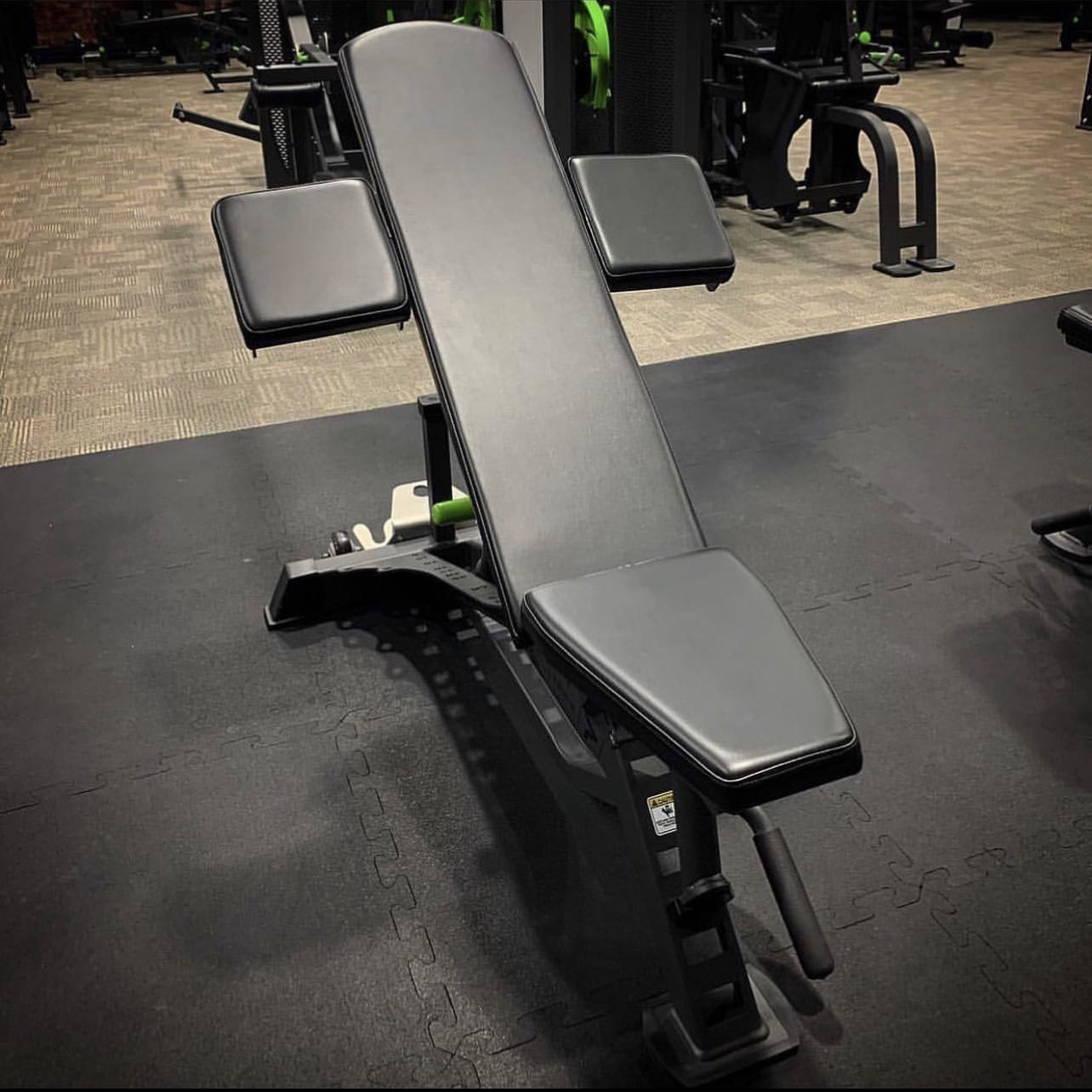 EVOLUTION  Seated Leg Curl - PRIME Fitness USA