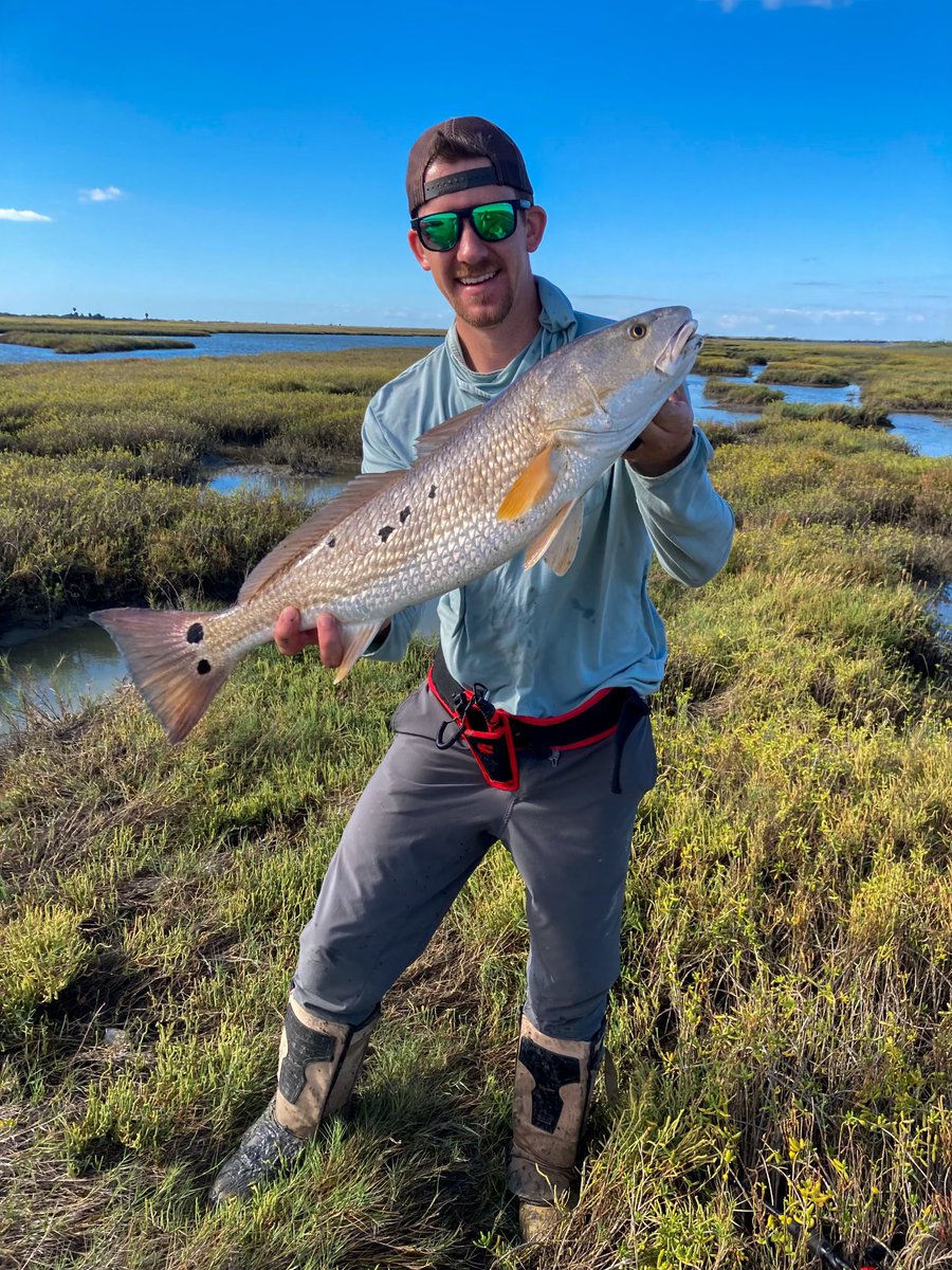 NiSEyewear's tweet photo. Trey with a #whopper of a #redfish!

Featured: Alpha Emerald Black

@niseyewear #niseyewear https://t.co/RUZEbary5A