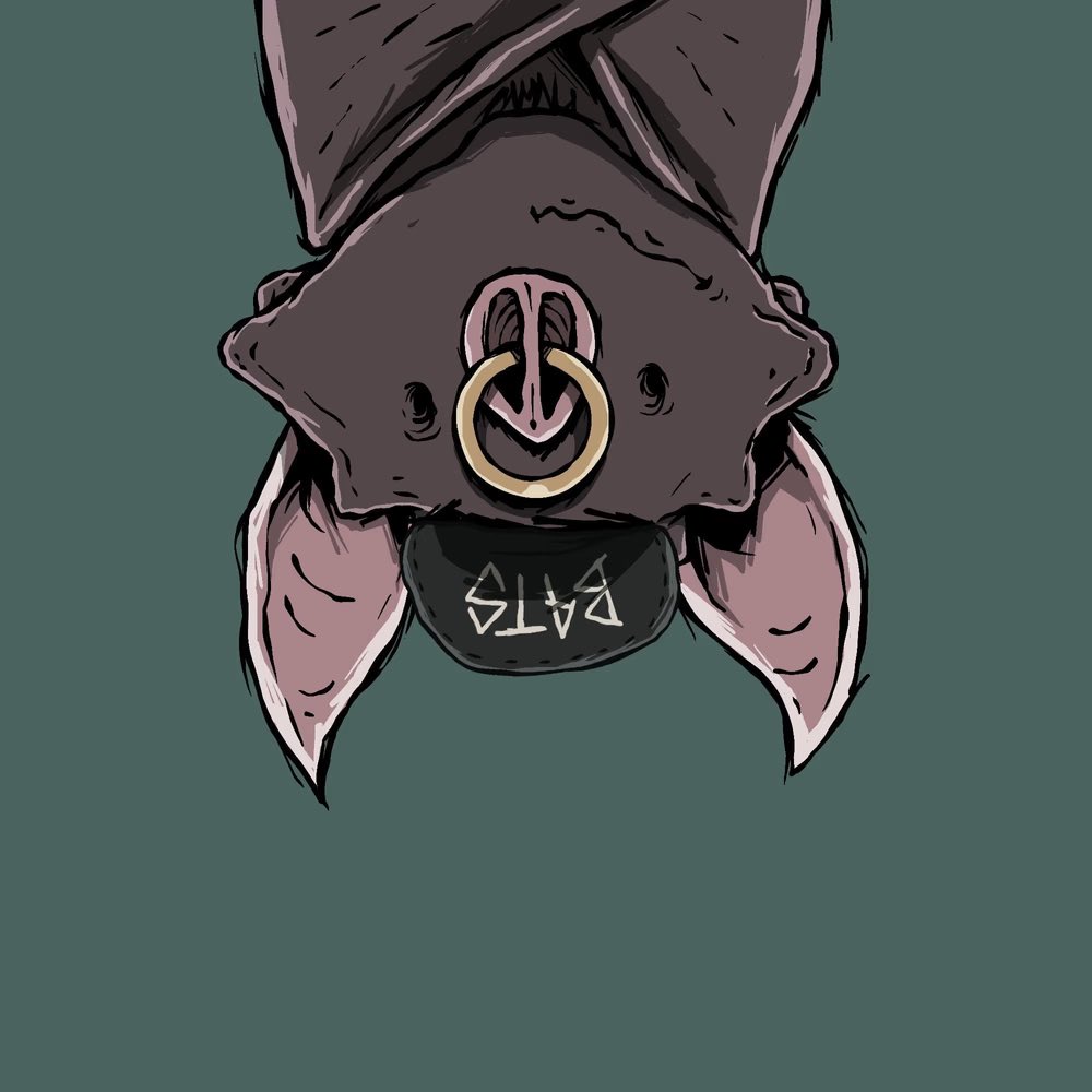 <a href="/NeoJesusNFT/">xflipping 𝖌𝖒⚡️𝖌𝖓 ｜.eth</a> <a href="/BoredApeYC/">Bored Ape Yacht Club 🍌</a> Get yourself some <a href="/Moon_Bats/">Moon Bats🩸</a>!! The 1st official #upsidedown pfp. 
We fly at night!! #moonbats