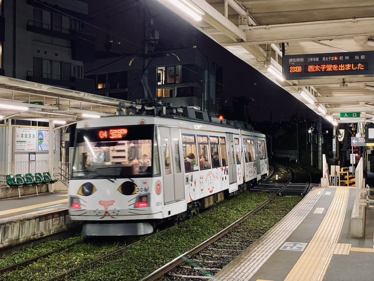 「行きと帰りで2回も招き猫電車を見た。いいことありそう。いいことあってくれ(切実)」|24のイラスト