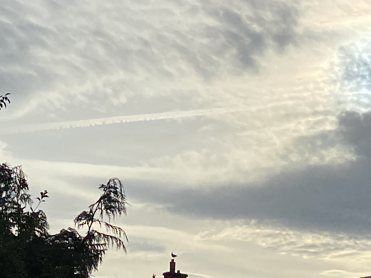 LoneMrWolf's tweet photo. Here is @British_Airways  polluting our sky just a few minutes ago.. https://t.co/g1WdmgR05h