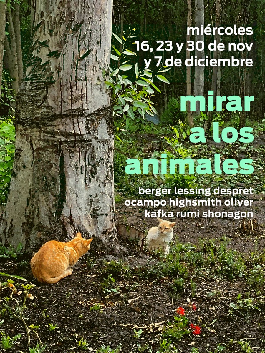 Mariana Docampo tweet media